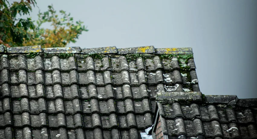 Dak coaten na reinigen beschermt dakpannen tegen mos algen en nieuwe aangroei