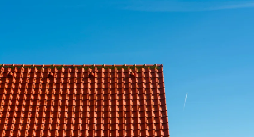 Professionele dakreiniging als voorbereiding op dak coating
