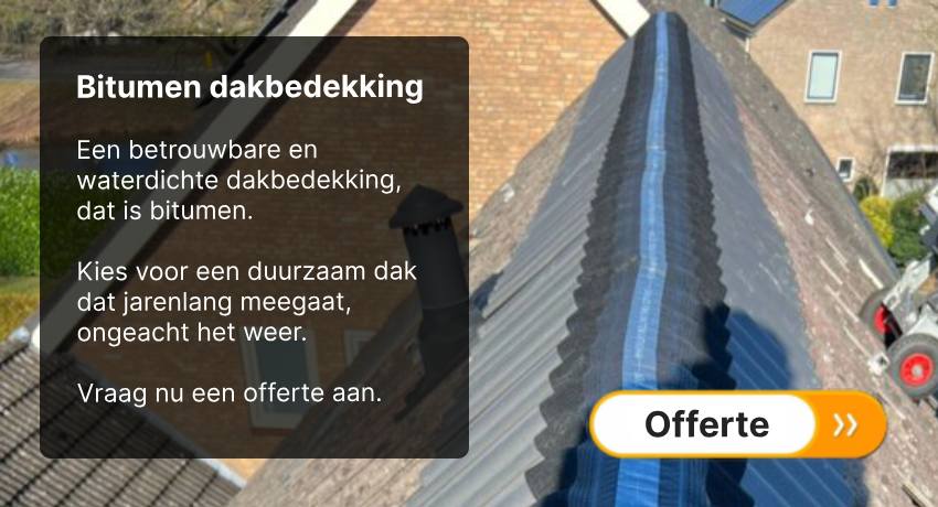 Professionele bitumen dakbedekking controle voor preventie zakelijk dak en magazijn
