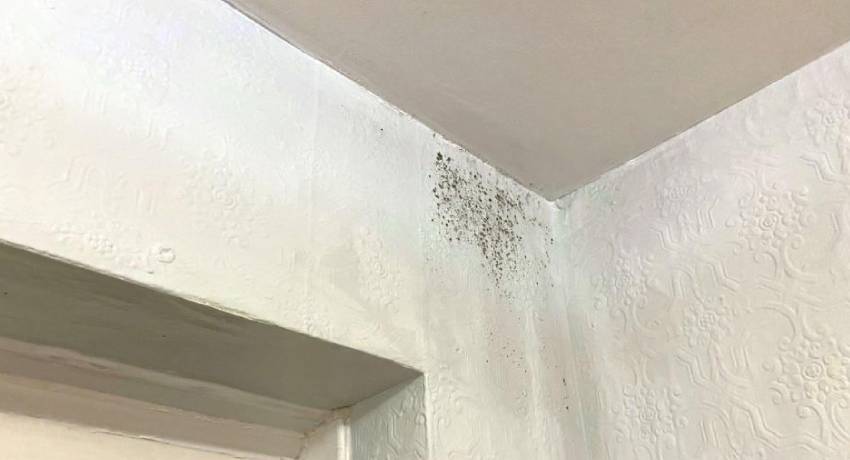 Duidelijke vochtplekken op muur: herkenning van verschillende soorten vochtproblemen door Dak en Gevel Renovaties.