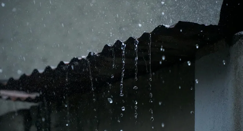 Wateroverlast plat dak reparatie door professionele dakrenovatie specialist